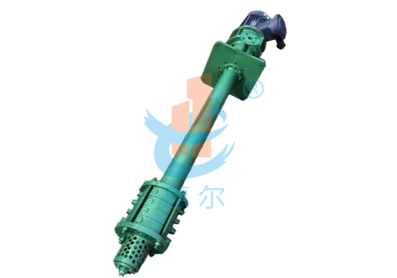 DLY型多級液下泵，用于廣饒某配套公司